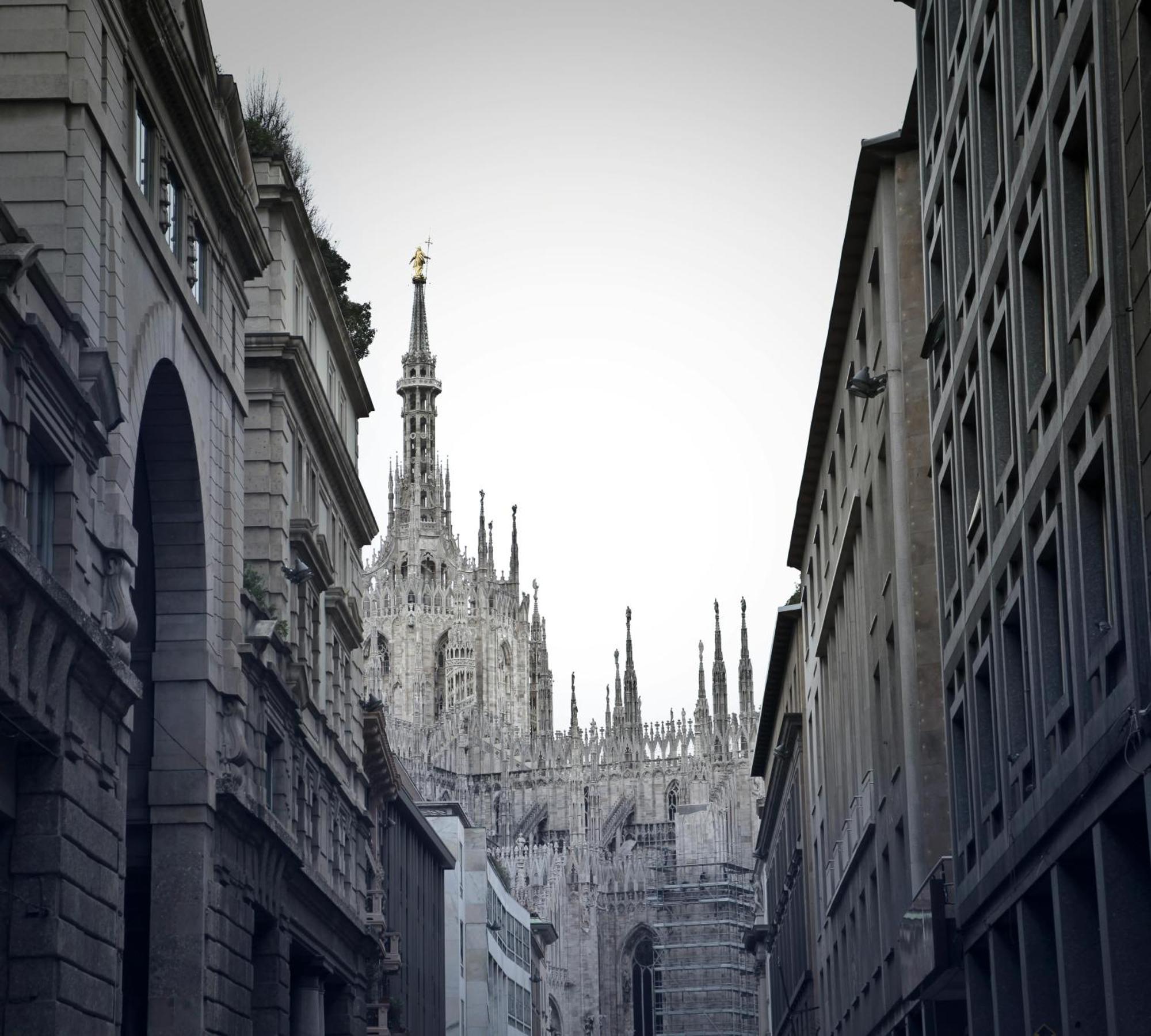 The Urban Wildlife - San Babila Duomo, Milan